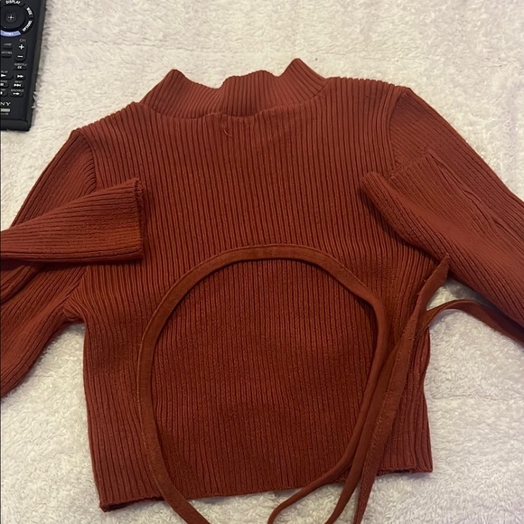 Rust Ribbed Knit Cropped Sweater - Picture 2 of 3